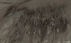 Untitled.webp
