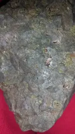 1449033491850.webp