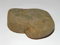 DSCN1324.webp