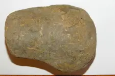 DSCN1327.webp