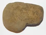 DSCN1328.webp