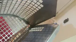 1447458406396.webp