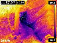 FLIR0337.webp FLIR0337.webp