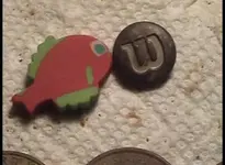 2015 (656).webp
