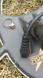 ring2.webp