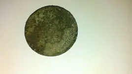 IMAG0462.webp