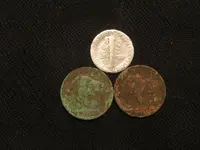 IMG_2330.webp IMG_2330.webp