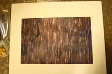 Art Wolfe Black Forest Soviet Union 1989 2 of 300.webp