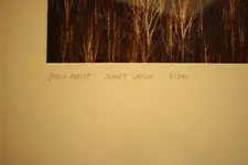 Art Wolfe Black Forest #.webp