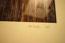 Art Wolfe Black Forest Signed.webp