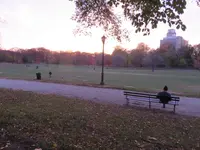 IMG_2334.webp IMG_2334.webp