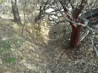 1448252502604.webp