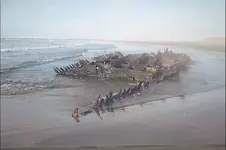 1001007shipwreck.webp