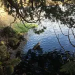 ImageUploadedByTreasureNet.com1449801217.112227.webp