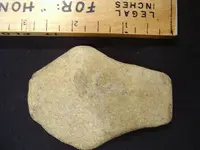 artifact_2.webp