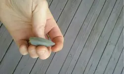 ImageUploadedByTreasureNet.com1449105077.739228.webp