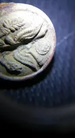 12342342_527064657457964_3657101025152901150_n.webp