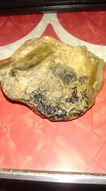 IMAG1017[1].webp