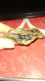IMAG1018[1].webp