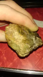IMAG1021[1].webp