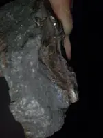 1451070046039.webp