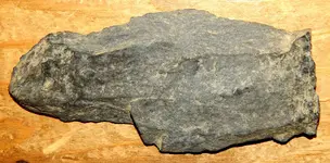 DSCN1316.webp