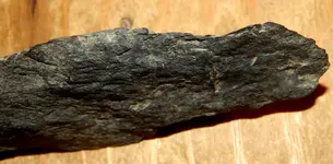 DSCN1320.webp
