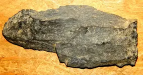 DSCN1312.webp