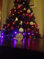 ImageUploadedByTreasureNet.com1450469324.013545.webp