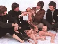 542504684_o.webp