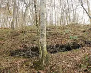 DSCN0682.webp