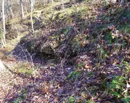 DSCN0851.webp