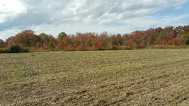 20151029_124240.webp