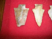 100_4097.webp