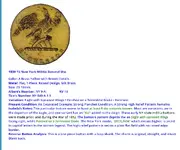 1800 button.webp