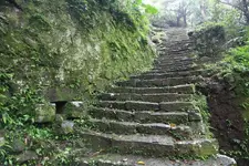88013221.webp