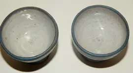DSCN1180.webp