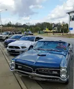 Cruising.webp