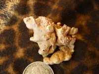 Gold Nugget 3.webp