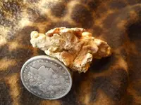 Gold Nugget 5.webp