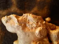 Gold Nugget 6.webp