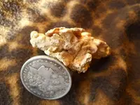 Gold Nugget 7.webp