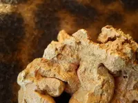 Gold Nugget 9.webp