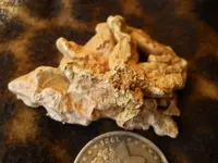 Gold Nugget 10.webp