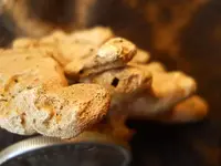 Gold Nugget 12.webp