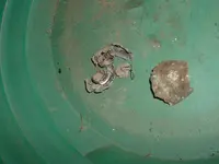 DSCF0023.webp