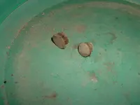 DSCF0018.webp