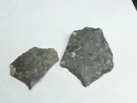ImageUploadedByTreasureNet.com1446784288.711831.webp