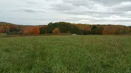20151024_151544.webp