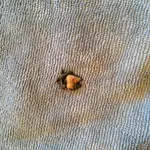 IMG_1317[1].webp